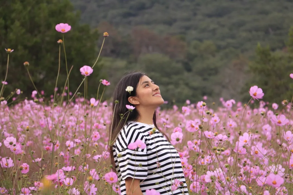 Conferencia Brave — comunidad